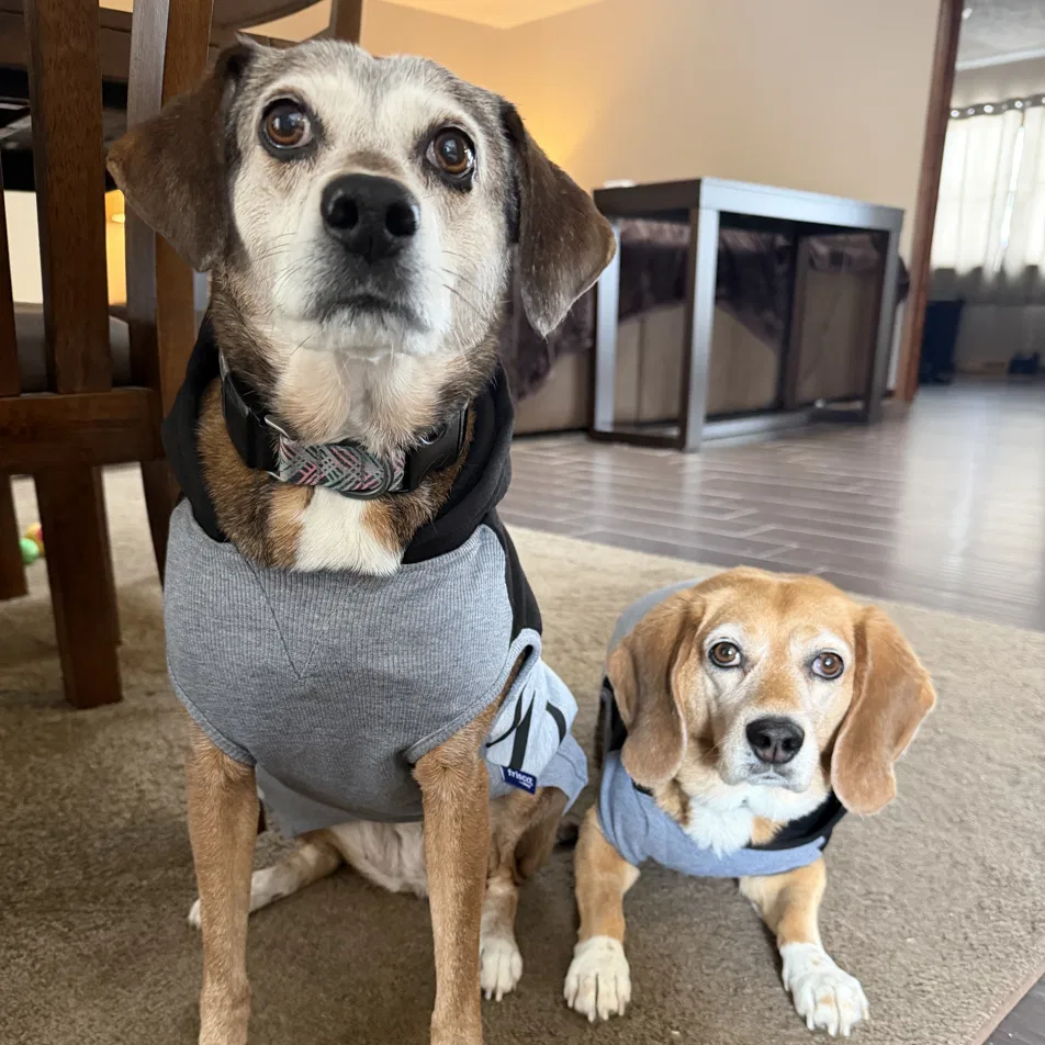 Birdie and Maisie together